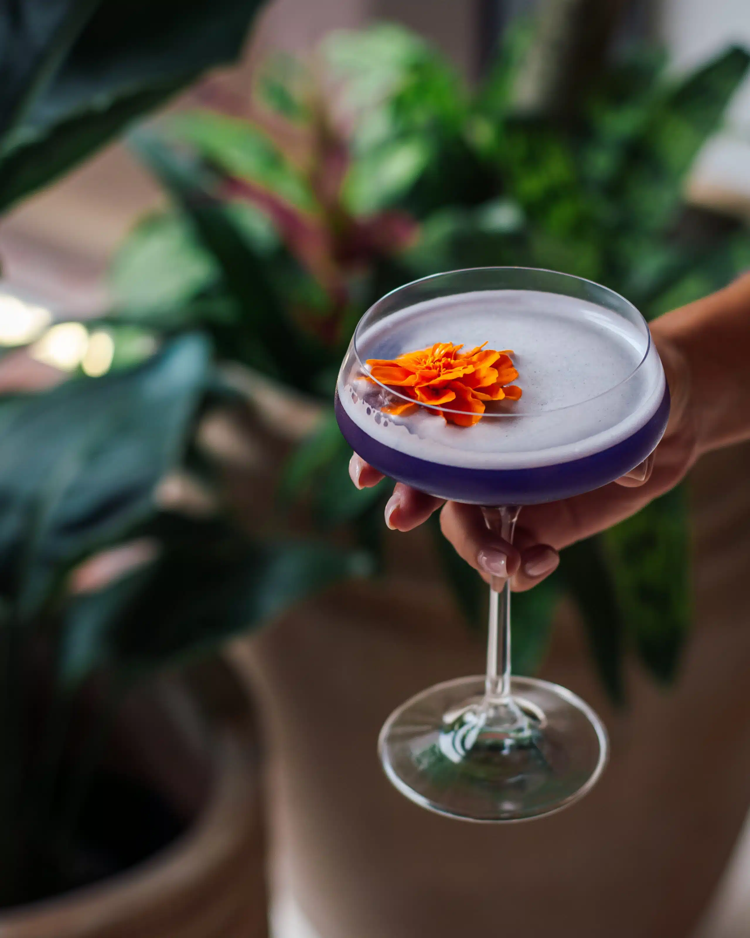 Raise Your Glasses for World Gin Day: Most Captivating Gin Cocktails in South Florida
